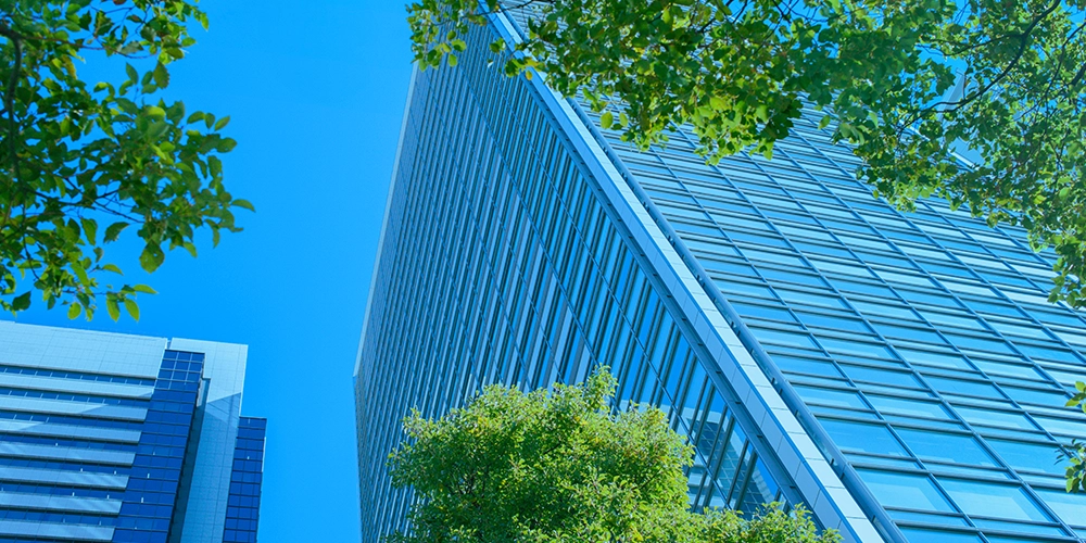 Thrive Trusted Business Advisors